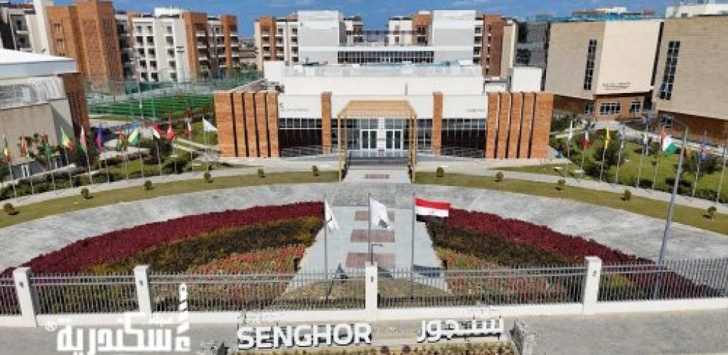 “المستقبل لإفريقيا”.. جامعة سنجور تطلق ساحة الفرص المهنية لربط الشباب بسوق العمل