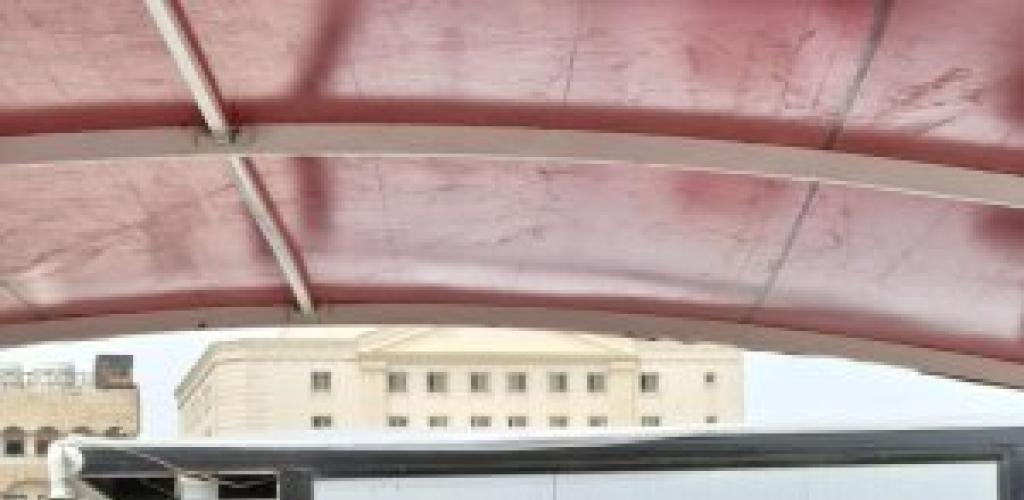 مكتبة الإسكندرية تنظم احتفالية "يوم الربيع"