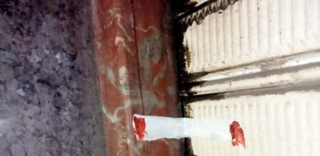 رئيس حي وسط تقود حملة مسائية لفرض الانضباط: غلق 3 منشآت ورفع 65 حالة إشغال بشوارع الإسكندرية