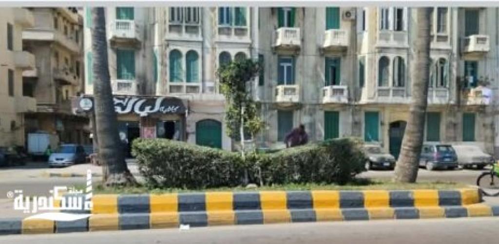 تجميل وتحذير.. حي الجمرك يواصل دهان بلدورات الكورنيش وإنذار الممتنعين عن استكمال ملفات التصالح