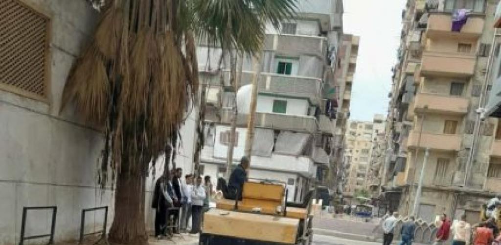 بعد تجديد كابلات الكهرباء.. "مديرية الطرق" تبدأ أعمال الرصف بشارع الأمان