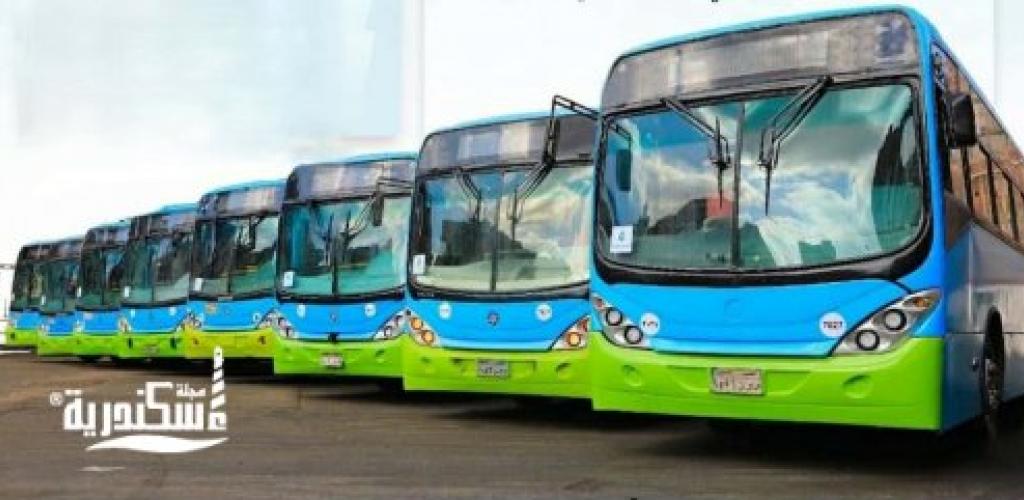 نقلة نوعية في النقل الجماعي.. خط (3) يربط قلب الإسكندرية بـ «أبو تلات» و«وادي القمر»
