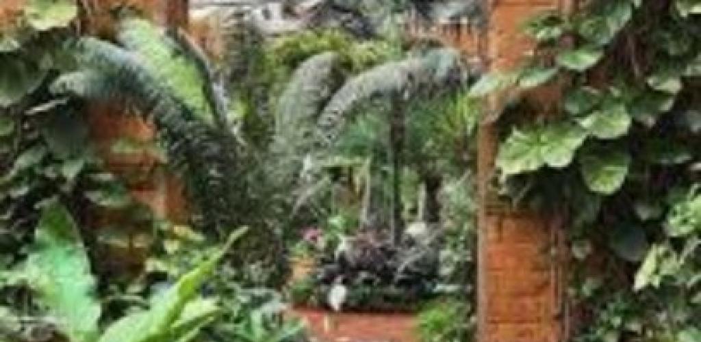 الصوبة الملكية بمنتزه الإسكندرية.. متحف نباتي نادر يحكي شغف الملوك بعالم النباتات