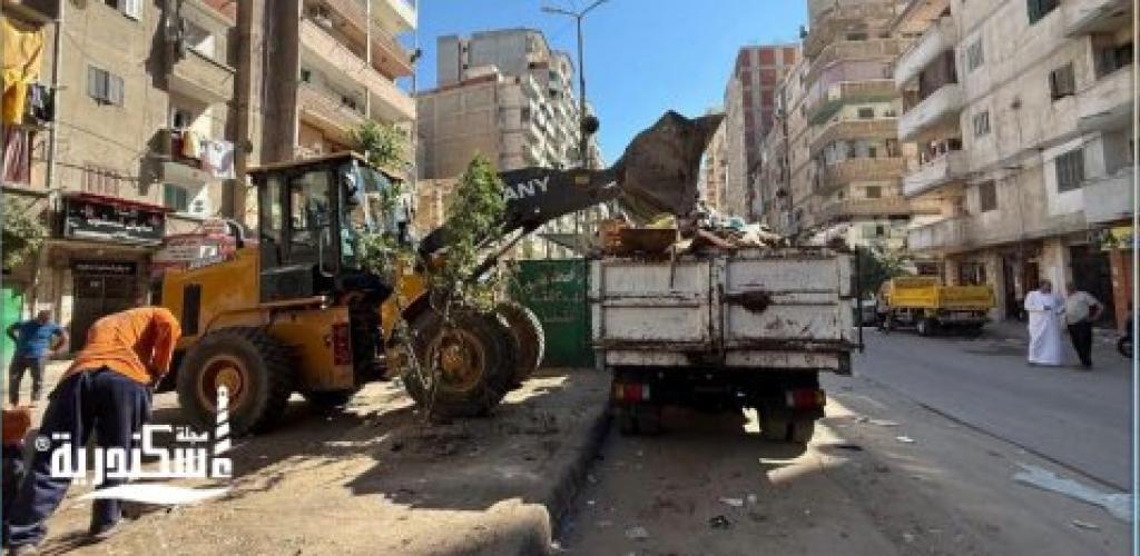 استجابةً لشكاوى "السوشيال ميديا".. حملة مكبرة تقضي على بؤر النباشين بسيدي بشر في الإسكندرية