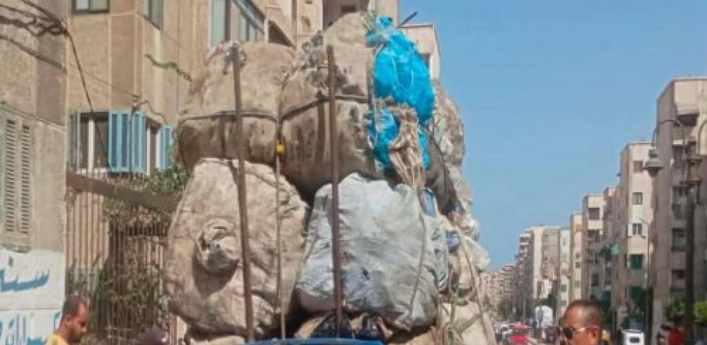 جولة صباحية موسعة لحى العجمى لإزالة الإشغالات ومواجهة "النباشين" والتحفظ على 186 حالة مخالفة
