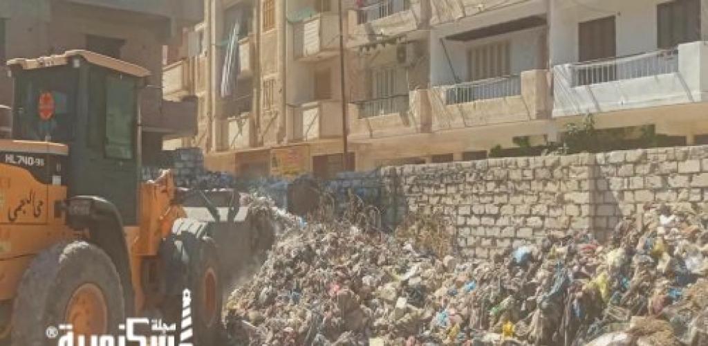 حى العجمى يواصل جهوده في القضاء علي تراكمات القمامة بالأراضي الفضاء