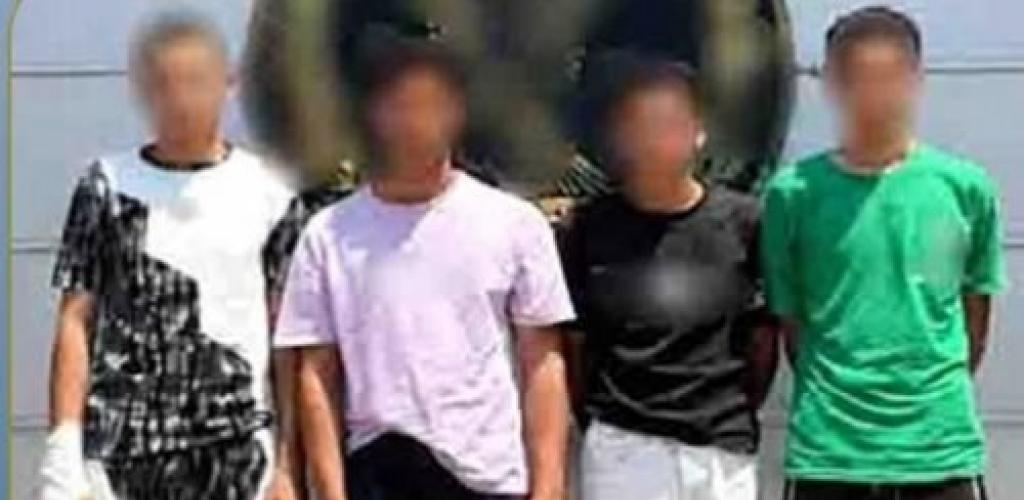 ضبط 4 أشخاص وُبحوزتهم كلب اعتدوا على المارة وأثاروا الذعر في الدخيلة بالإسكندرية