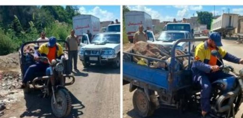 حي العجمي يواصل ضرباته ضد "النباشين".. التحفظ على 4 تروسيكلات في حملات مكثفة