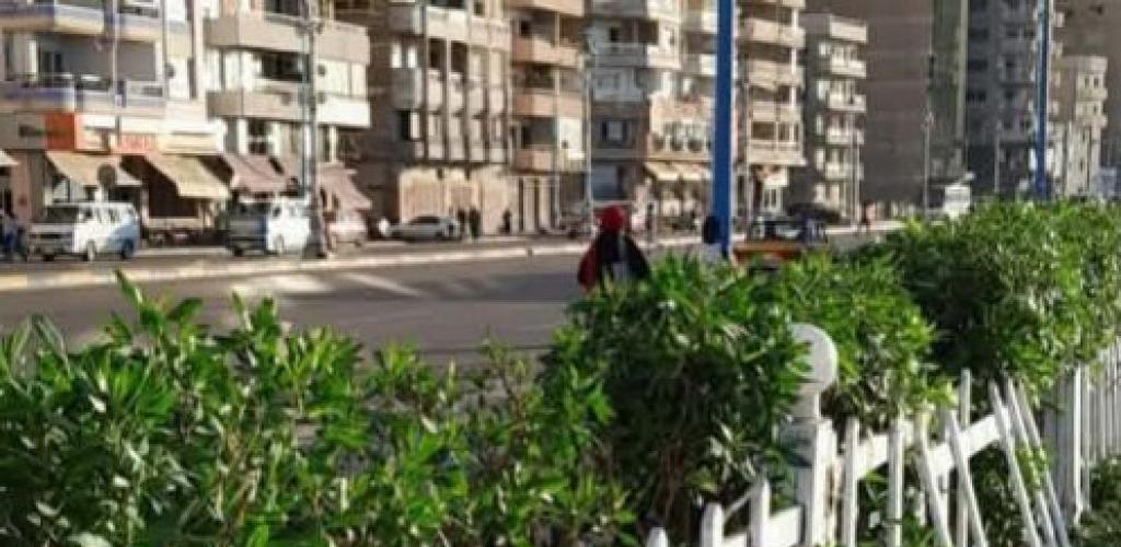 استجابة سريعة لشكاوى المواطنين.. الإدارة المركزية للسياحة والمصايف بالإسكندرية تنهي أزمة حجب الأشجار لرؤية البحر بالعصافرة
