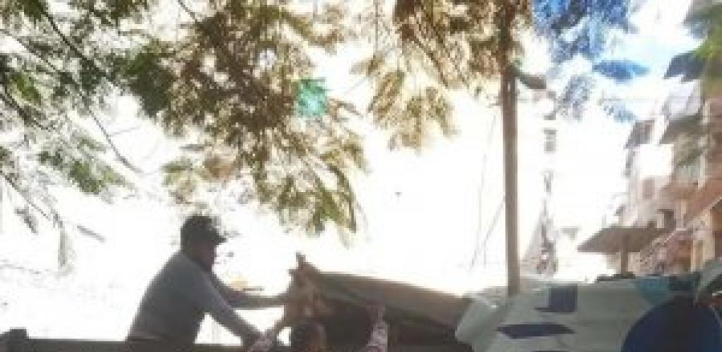 حملة مكبرة بحي وسط الإسكندرية تُسفر عن التحفظ على سيارة رديم ورفع 89 حالة إشغال