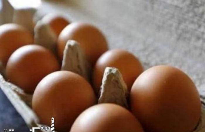 مباحث تموين الإسكندرية تشن حملة للتحقق من إدعاء مواطنة شرائها بيض صيني من أحد المحلات في حي المنتزه