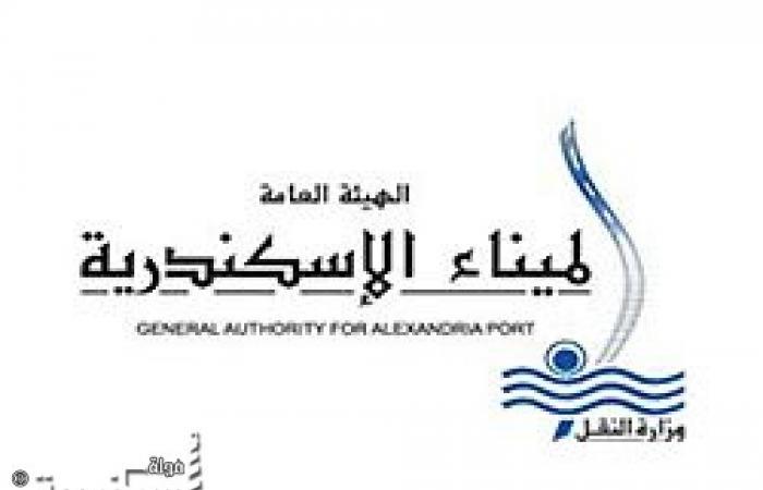 النقل : زيادة في الفائض الفعلي بميناء الإسكندرية بمقدار %225