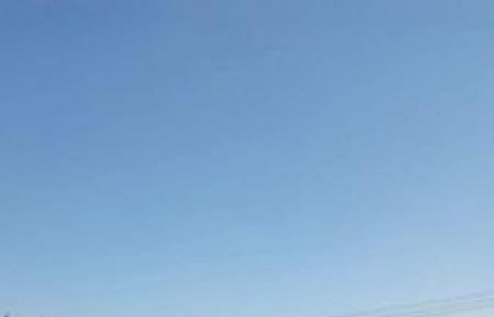 خلو  أكبر سوق لتجارة المواشى جنوب الأقصر بسبب كورونا