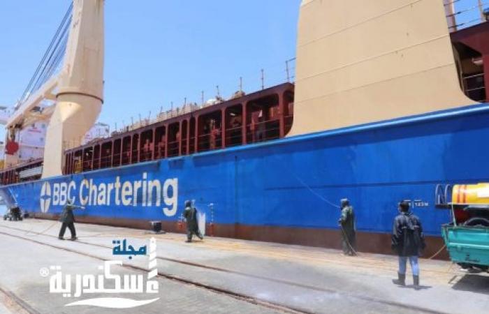 "وزير النقل" وصول 20 جرار سكة حديد الى ميناء الاسكندرية