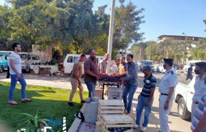 حملة مكبرة لإزالة الإشغالات شرق الإسكندرية