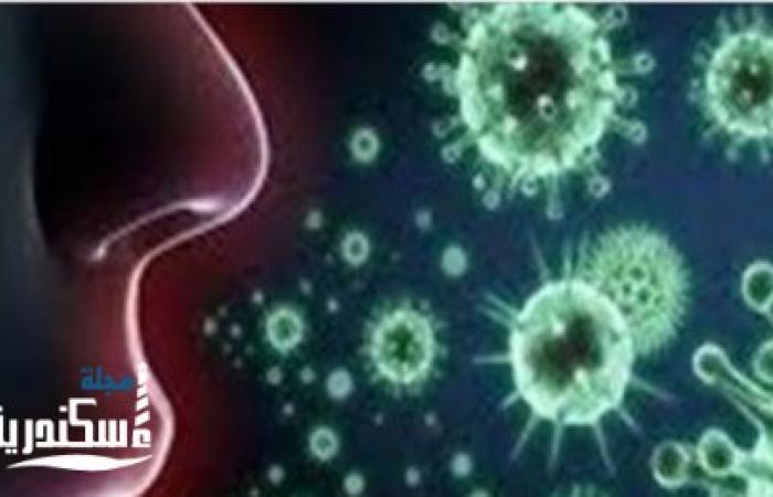 فرج عامر : التهاون والاستهتار بفيروس كورونا ينذر بعواقب خطيرة وكارثية