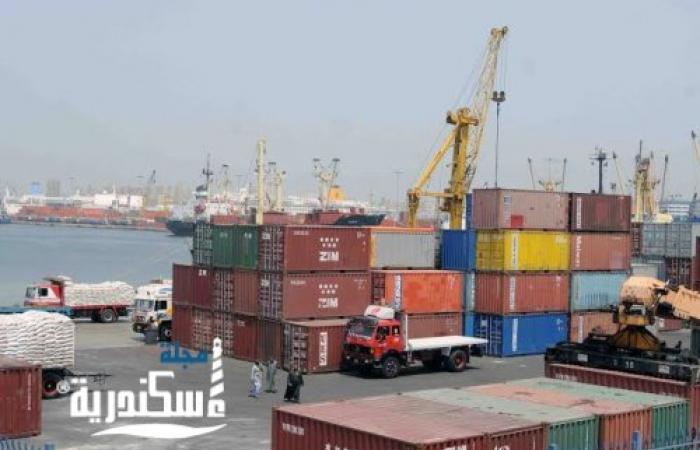 تداول 124 ألف طن و 1785 حاوية خلال 24 ساعة بميناء الإسكندرية