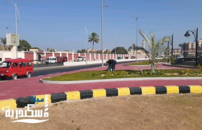 رئيس حي ثان المنتزه  يشدد على مواصلة شن حملات رفع الإشغالات بنطاق الحي.