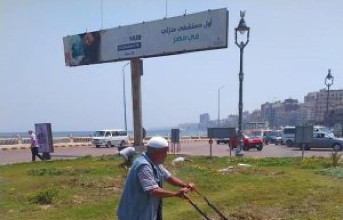 حي وسط...حملة مكبرة لتجميل الحدائق والمسطحات الخضراء