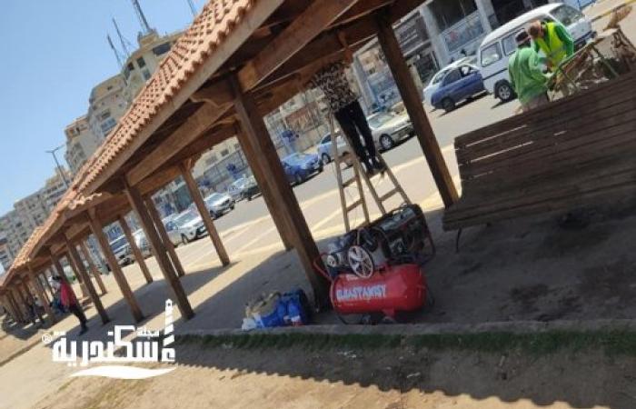 حي شرق... حملة لرفع كفاءة المسطحات الخضراء وأعمال التشجير على طول الكورنيش
