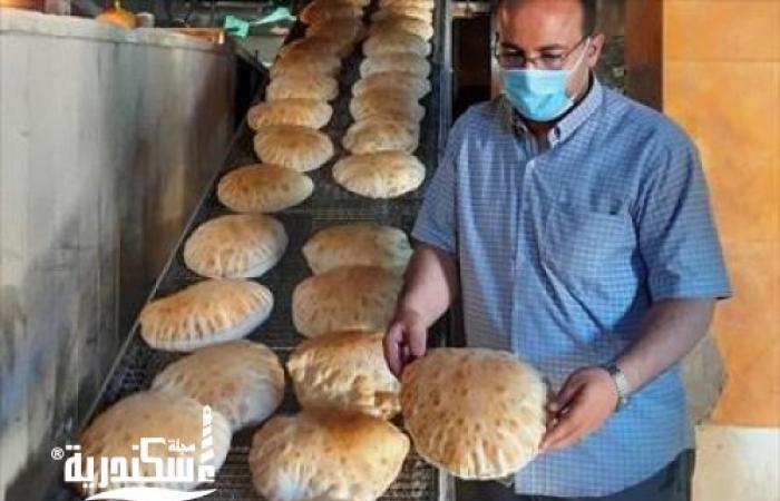 تموين الإسكندرية...تحرر 327 محضرًا بمخالفات متنوعة ب8 إدارات