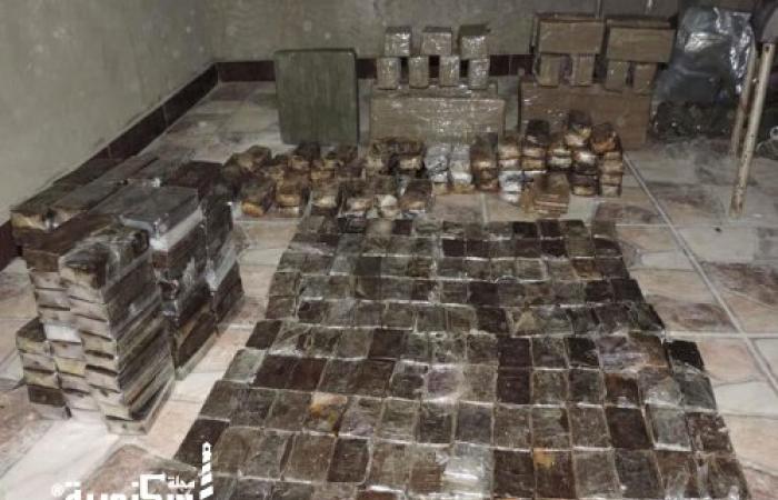 مكافحة المخدرات....ضبط 362 طربة حشيش مع 6 عناصر إجرامية في الإسكندرية