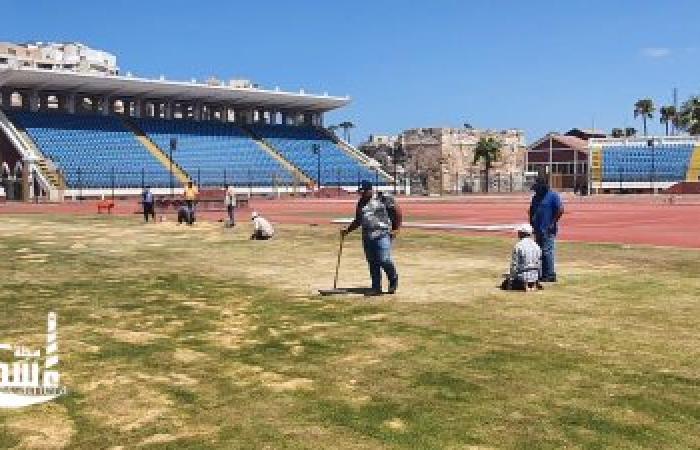 بدء أعمال الصيانة الشاملة لأرض ملعب كرة القدم باستاد الإسكندرية الدولي