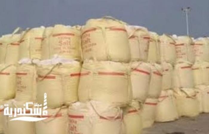 التحفظ على نصف طن صويا منتهى الصلاحية داخل مخزن دون ترخيص بالإسكندرية