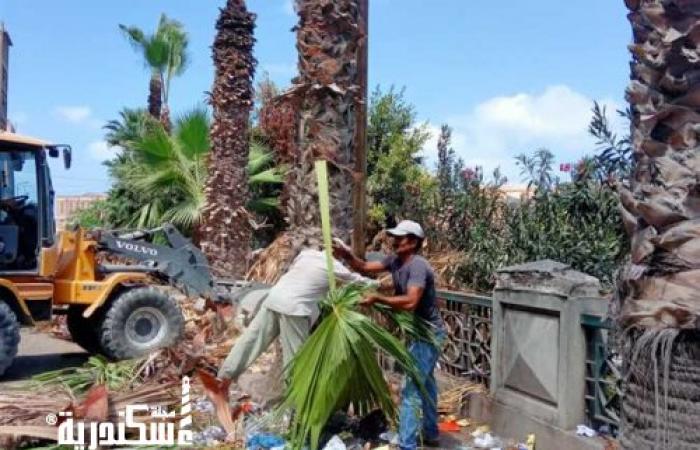 حي غرب ....انطلاق فعاليات مبادرة "رؤية أجمل"