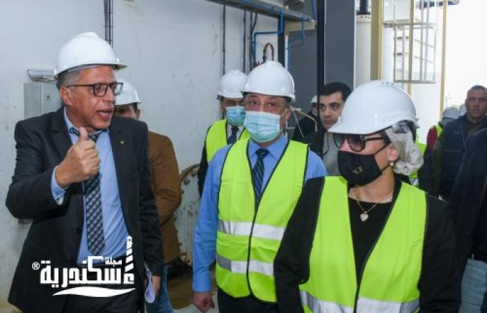 محافظ الإسكندرية ووزيرة البيئة يتفقدان منشآت صناعية.. اعرف التفاصيل