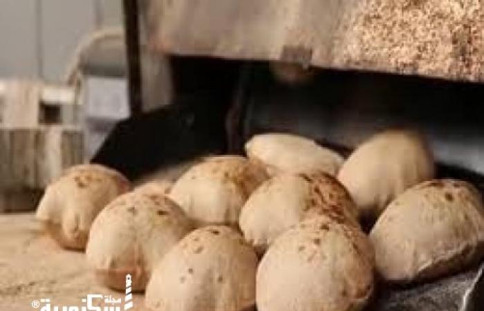 "تموين الإسكندرية" 1302 محضر في حملات على الأسواق و716 محضرا للمخابز البلدية
