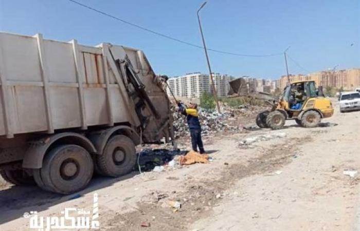 بعد ساعات من جولة المحافظ.. رفع قمامة شارع الملك بحي المنتزة في الإسكندرية