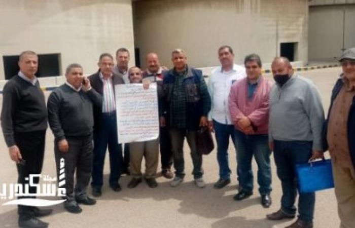 تموين الإسكندرية: 6 لجان لاستقبال الأقماح المحلية والمساحة المنزرعة 73 ألف فدان