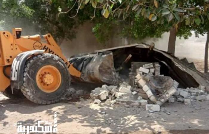 حي العامرية أول....إزالة 31 محلا مخالفا بطريق البتروكيماويات
