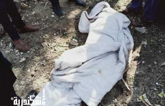 العثور على جثة طفل رضيع ملقاة بصندوق قمامة في العجمى غرب الاسكندرية