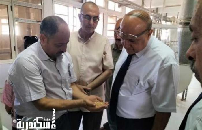 أغلبها «خبز ناقص الوزن».. «تموين الاسكندرية» تفاجئ المخابز وتحرر 300 محضرًا بمخالفات