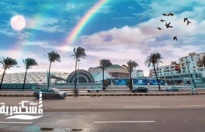مكتبة الإسكندرية تنظم مؤتمر «نعم للأخضر حقك فى مستقبل مستدام