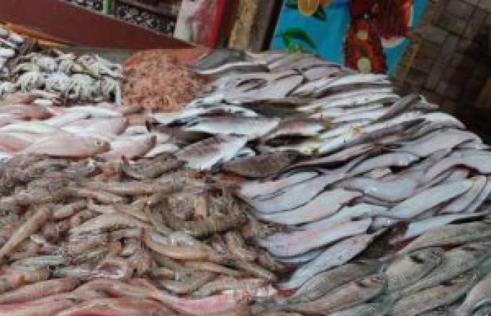 تبدأ من 25 جنيها....انخفاض أسعار الأسماك في الإسكندرية اليوم