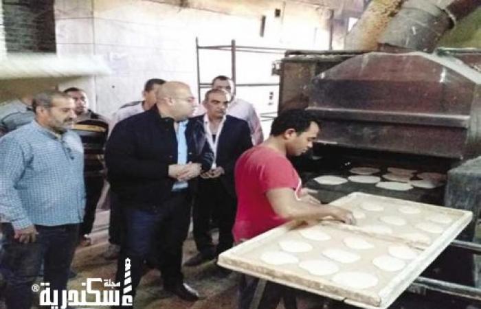 تموين الإسكندرية....تحرير 295 محضرًا بمخالفات متنوعة في 6 إدارات
