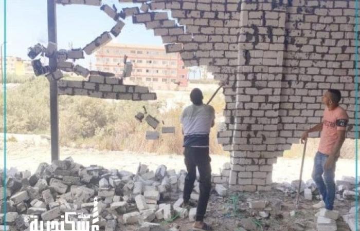 أحياء الإسكندرية... إيقاف وإزالة أعمال البناء المخالف على أراضي أملاك الدولة والأراضي الزراعية