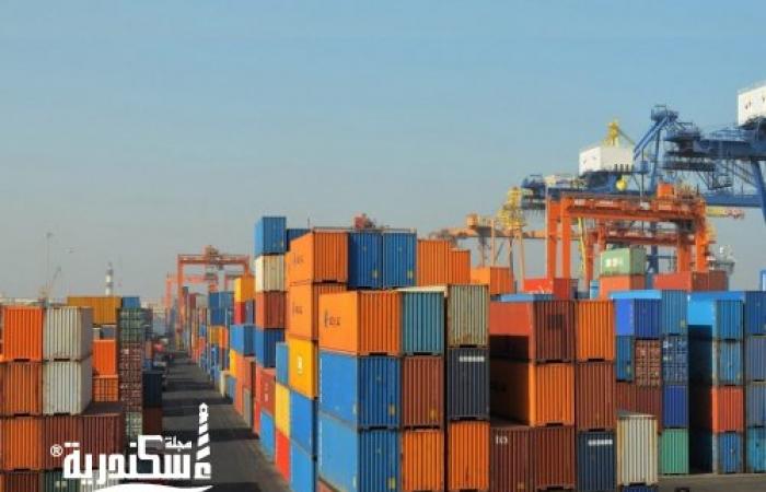 ارتفاع معدل تردد السفن بالهيئة العامة لميناء الإسكندرية خلال شهر أغسطس.....بنسبة 16%