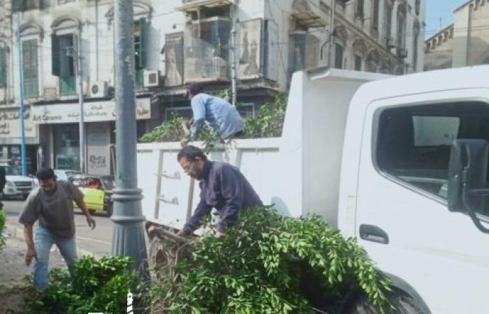 حي الجمرك بالإسكندرية يرفع 13 نقلة مخلفات صلبة خلال أسبوع