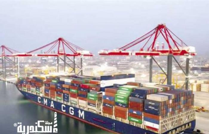 نشاط ملحوظ في حركة التداول والملاحة بميناء الإسكندرية