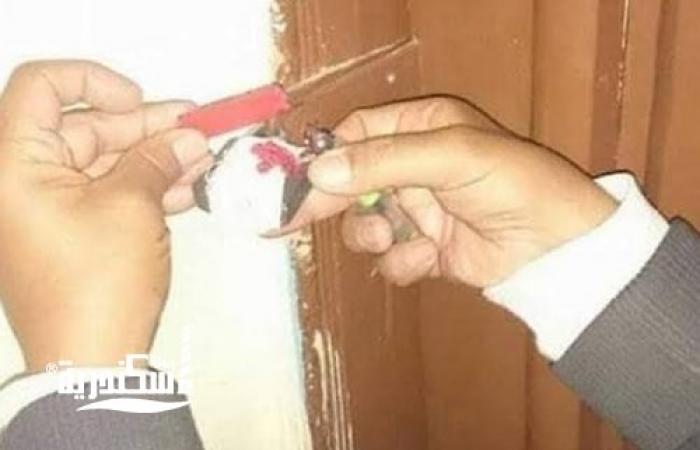 تشميع منشأتين مخالفين للمواعيد الشتوية بـ «جمرك الإسكندرية»