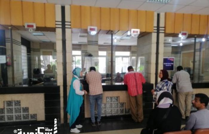 محافظ الإسكندرية يعلن عن بدء تلقى طلبات التصالح على مخالفات البناء بجميع المراكز التكنولوجية*