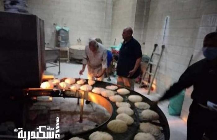 التموين و التجارة الداخلية بالاسكندرية.....حملات تموينية على المخابز البلدية