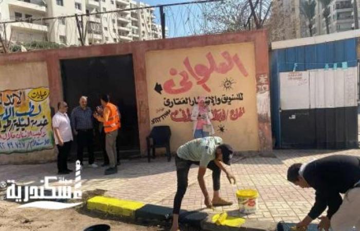 استعداداً لـ "انتخابات النواب 2025": حي ثان المنتزه يتابع جاهزية مقار اللجان ويرفع كفاءة المرافق
