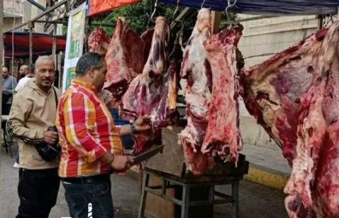 حي المنتزة ثان يفتتح سوق اليوم الواحد ... لحوم بـ 290 جنيهاً مع توفر السلع بأسعار مخفضة