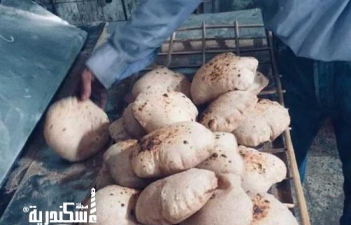 82 محضر "خبز ناقص الوزن".. حصيلة حملات تموين الإسكندرية لردع المخالفين