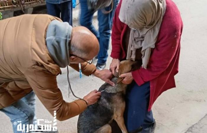حي وسط....استجابة لشكاوى المواطنين حملة لتعقيم وتطعيم 9 كلاب ضالة